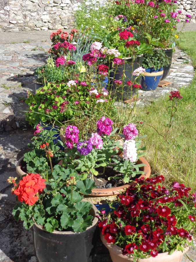 Lodge House B&B Buckland St Mary Екстериор снимка